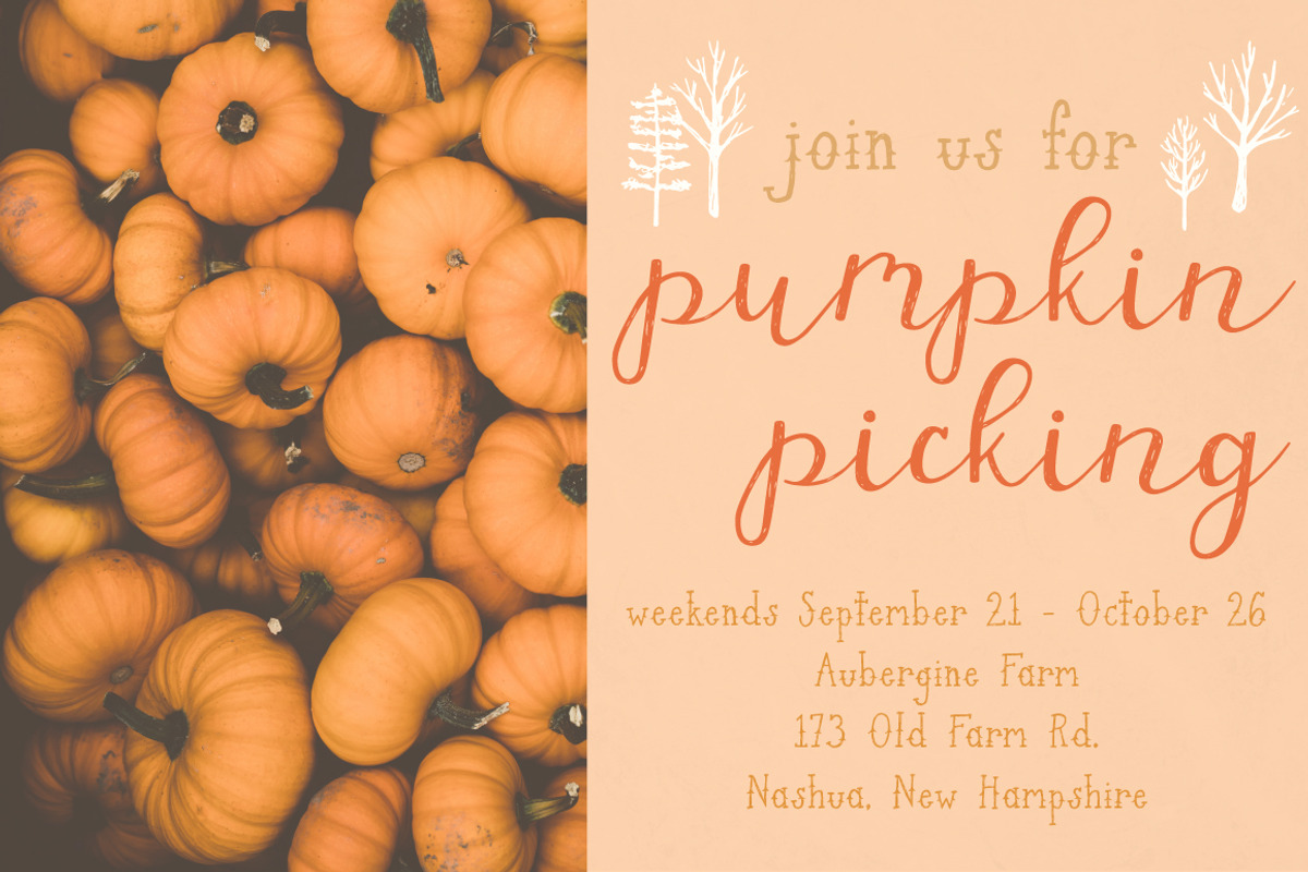 Dusky Pines Font Duo + Illustrations preview 4
