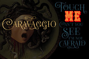 Rapsodia Type Family / 5 fonts, a Serif Font by Andinistas Fonts (Thumbnail 3 of 10)
