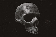 Skulls: 108 Skull Images, an Object Graphic by RuleByArt (Thumbnail 7 of 16)
