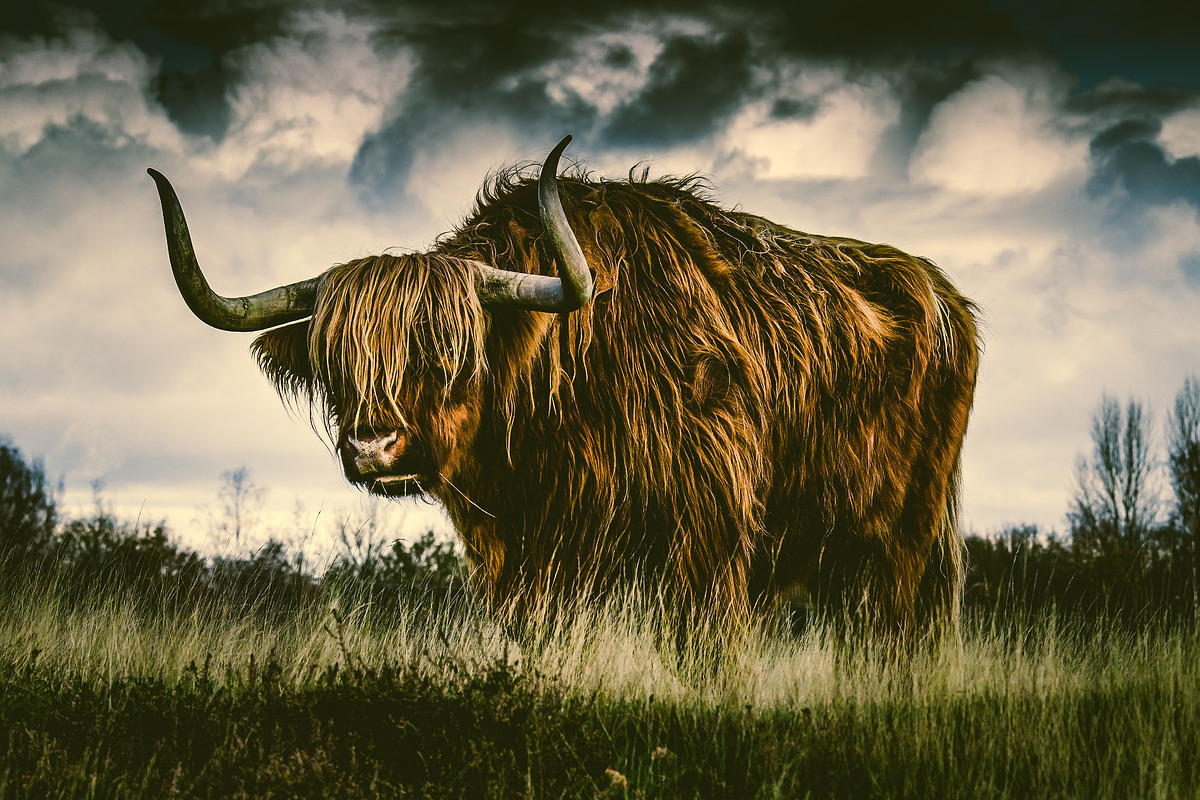 300 Professional Lightroom Presets, an Action Add-On by Madison Colt Studios (Photo 22 of 29)