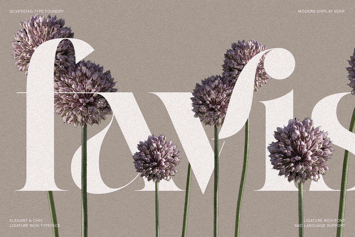 Raving Display Editorial Serif Font, a Serif Font by SilverStag Type Foundry (Photo 13 of 30)