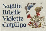 Eighties Nostalgia - Ligature Serif, a Serif Font by SilverStag Type Foundry (Thumbnail 6 of 20)