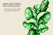 35 Mushrooms & Fungi–Engraved Vector, an Object Graphic by Gonez Studio (Thumbnail 10 of 13)
