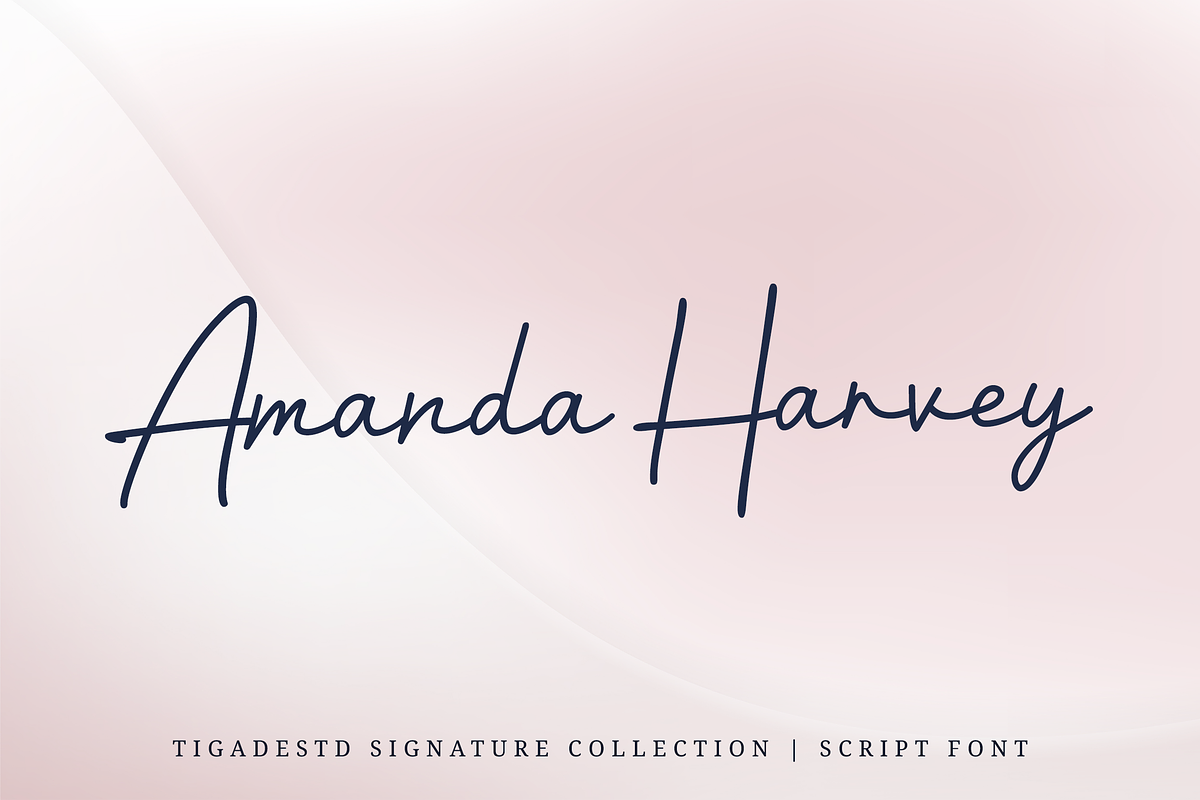 Bernadette Signature | Modern Script, a Script Font by Tigadestd Type (Photo 3 of 7)