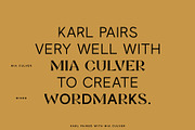 Karl – Cool Sans w Unique Alternates, a Sans Serif Font by Local Desk Designstudio (Thumbnail 5 of 28)