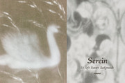 Serein: Fine Art Texture Backgrounds, a Background Graphic by Purple (Thumbnail 3 of 10)