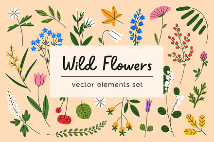 Abstract wild flowers and plants set, a Decorative Illustration by Good Studio