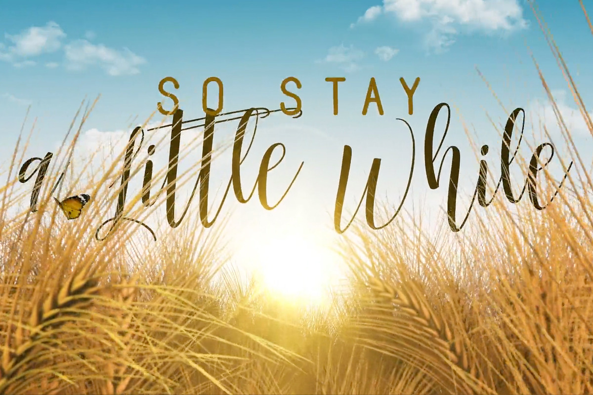 After Effects Lyrics Music Video, a Templates & Theme by johnnybd's AE Templates (Photo 2 of 2)