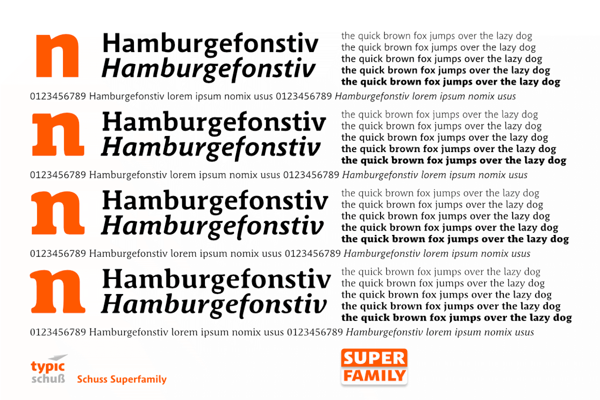 10 Fonts Schuss Serif Pro, a Serif Font by typic schuss (Photo 12 of 18)
