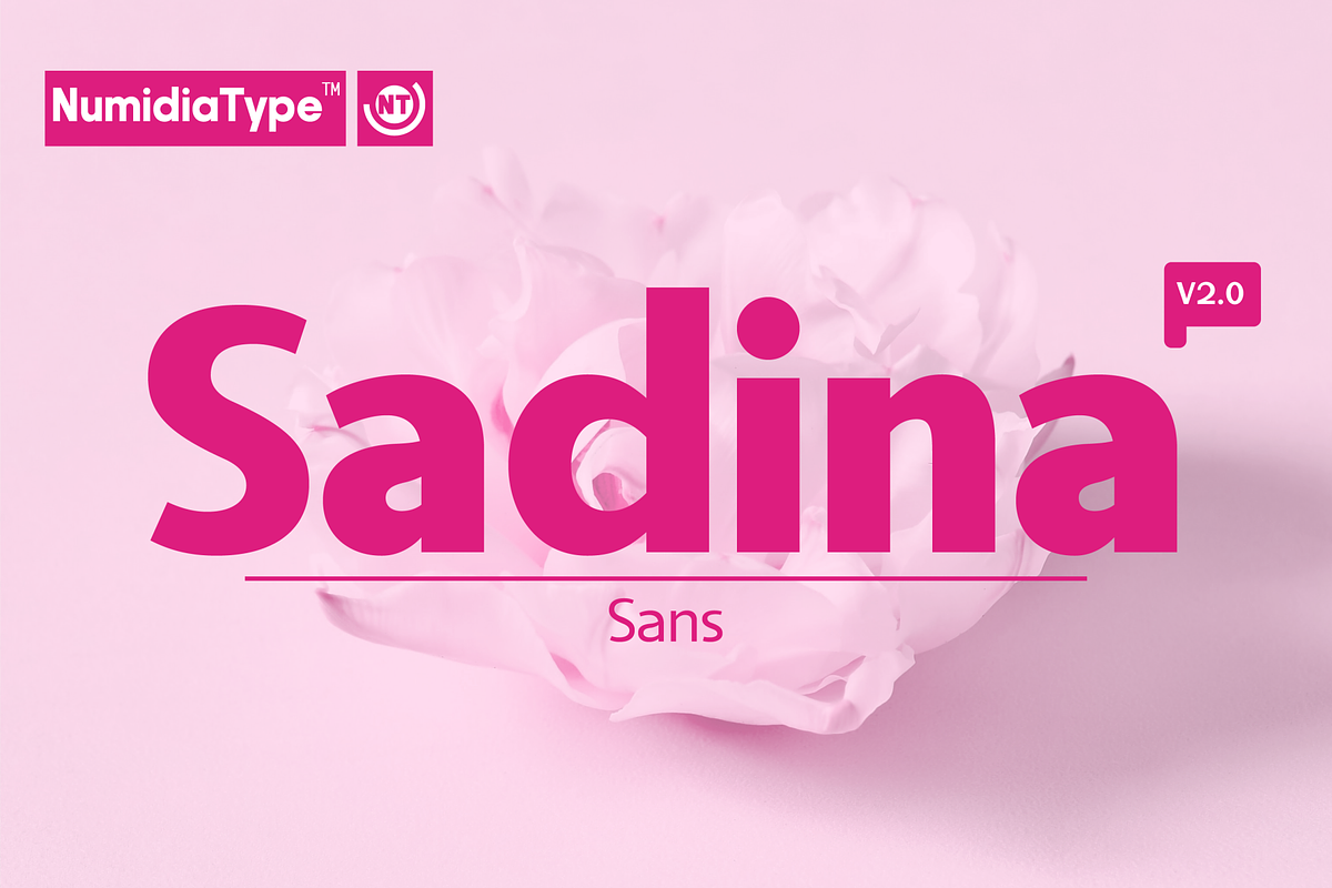 Sadina, a Sans Serif Font by NumidiaType (Photo 1 of 6)