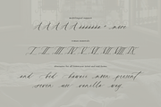 Deuxieme Script Font, a Script Font by Courtney Rose Design (Thumbnail 6 of 14)