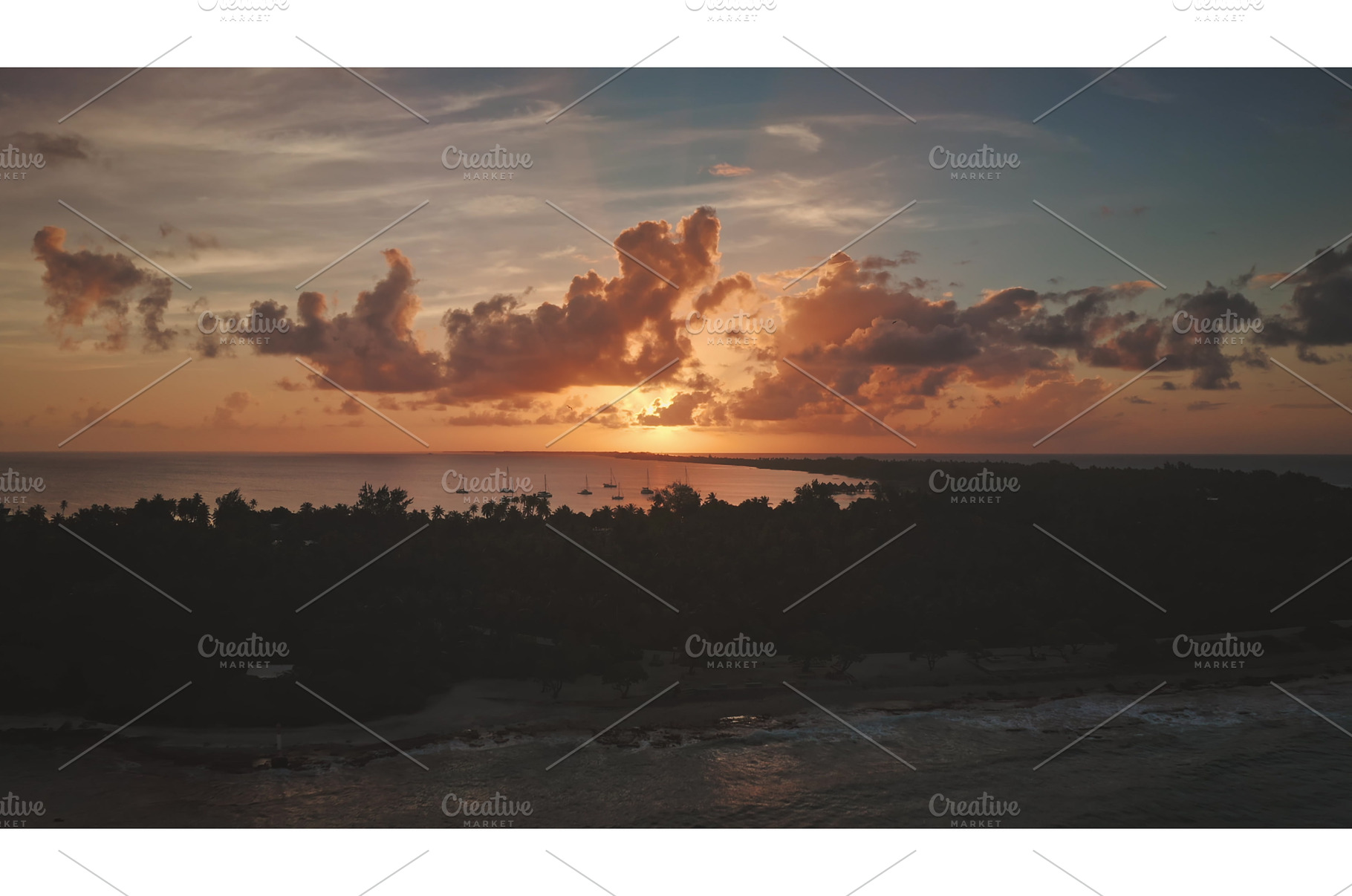 Sunset illuminating Rangiroa island, an Animal Photo by Goinyk