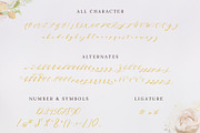 Washingtone Script, a Script Font by Masdika Studio (Thumbnail 7 of 7)
