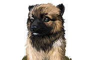 Puppies Dog Breeds Big Bundle 135Pcs, an Animal Illustration by Dneprstock (Thumbnail 19 of 68)