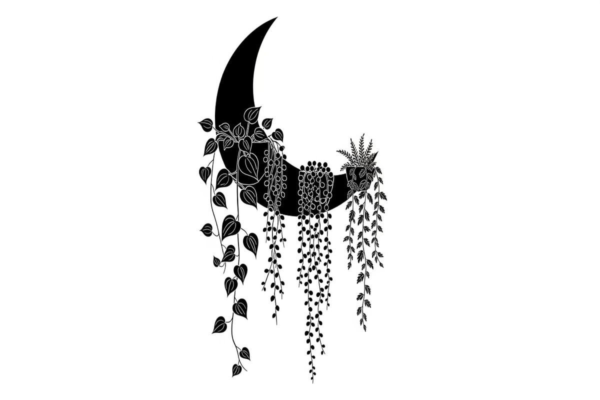 Hanging Moon with Plants Bundle, an Illustration by Designs_River (Photo 18 of 31)