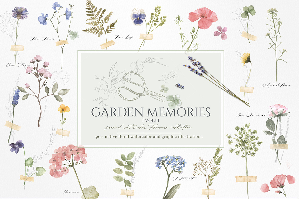 pressed floral watercolor collection, an Illustration by beehouse studio (Photo 1 of 9)