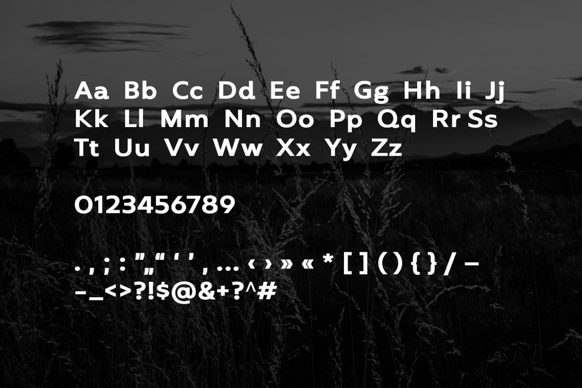 Espion Grotesk - Modern Typeface preview 4