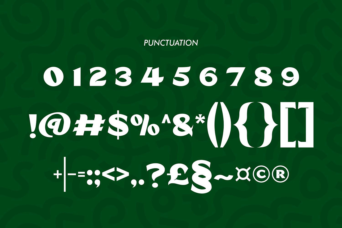 CARNIS Font - Bold Decorative Sans, a Slab Serif Font by WhymoreArt (Photo 11 of 11)