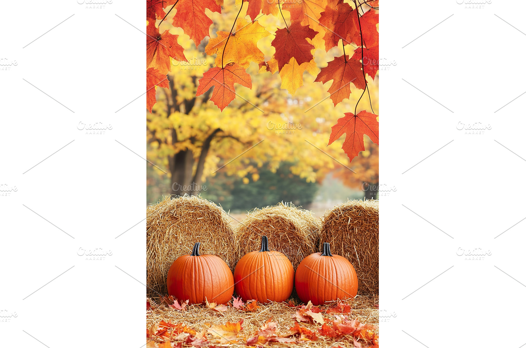 Autumn Fall Harvest Festivals scene, a Nature Photo by Lermont51