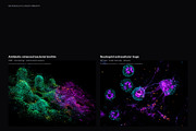 Biomedical Microscopy, a Healthcare Illustration by liravega (Thumbnail 4 of 7)