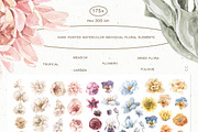20% Floral Catalog Watercolor Bundle, an Illustration by Cat In Colour (Thumbnail 8 of 18)