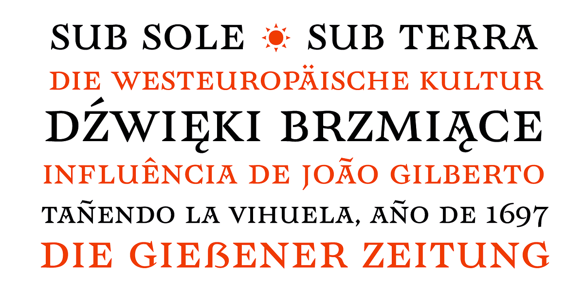 CF Santiago, a Serif Font by Contra (Photo 7 of 11)