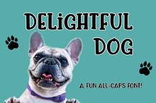 Delightful Dog