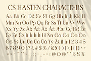CS Hasten – Elegant Font, a Serif Font by Craft Supply Co. (Thumbnail 8 of 8)
