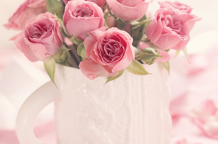 Pink roses stock photo containing rose and heart preview 6