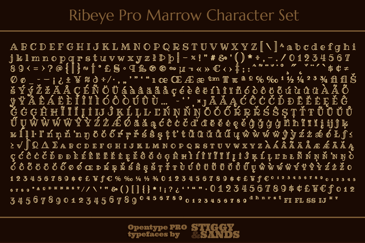 Ribeye Pro Family preview 7
