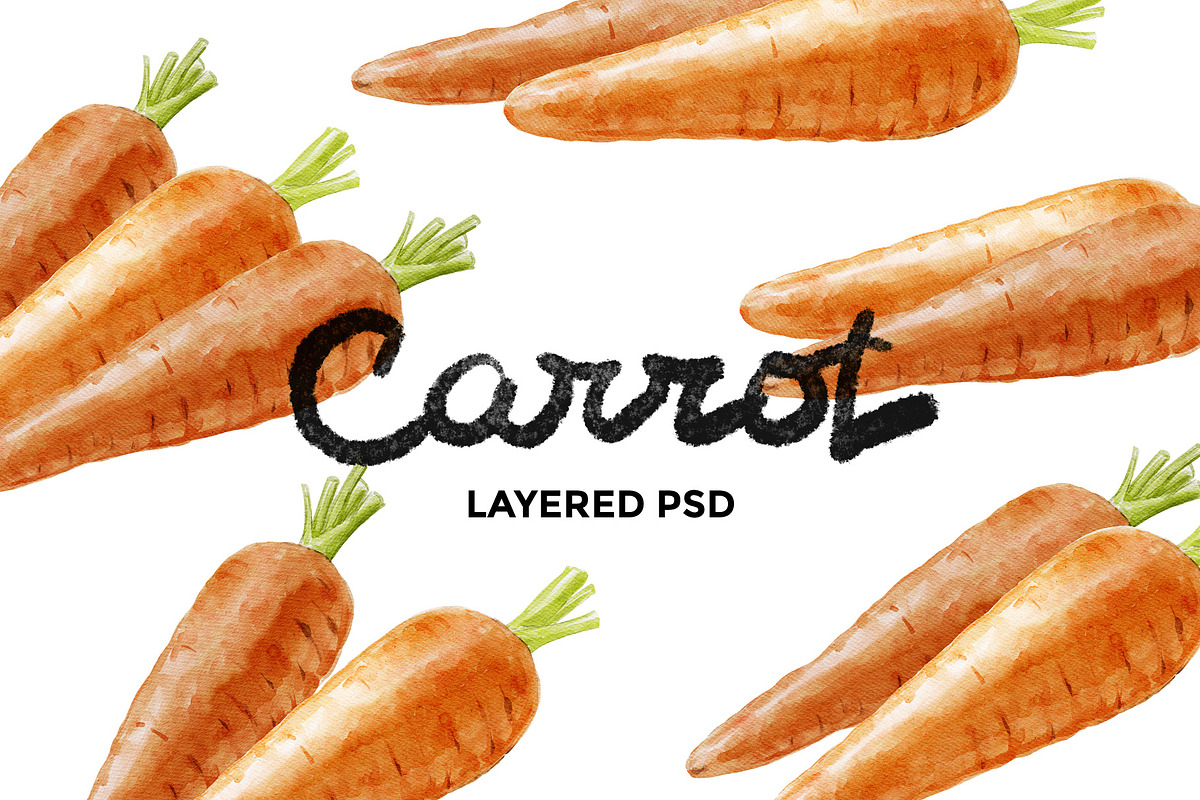 Carrot watercolor illustrations, a Food Illustration by wedraw (Photo 1 of 3)