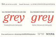 Zeit Serif Family, a Serif Font by Fenotype (Thumbnail 11 of 12)