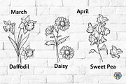 Birth Month Flowers Svg Bundle, an Object Graphic by HeyLenaArts (Thumbnail 3 of 9)