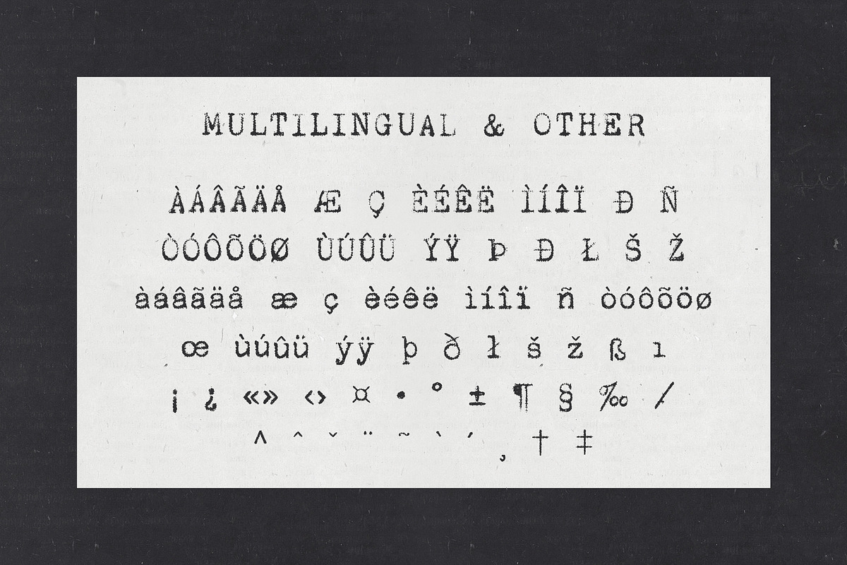 Corpus Typewriter Font, a Serif Font by Brent Galloway (Photo 10 of 10)
