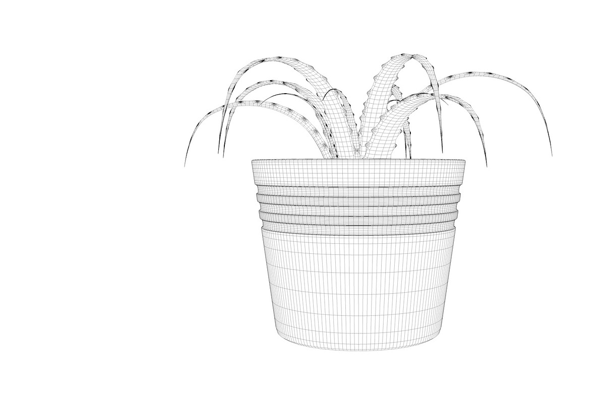 Plant n°1, an Object 3D Model by 3D Furnishing (Photo 11 of 20)