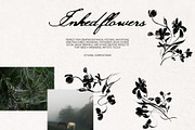 Inked Flowers: elements & art prints, a Decorative Illustration by Yuliia Lashevska (Thumbnail 7 of 9)