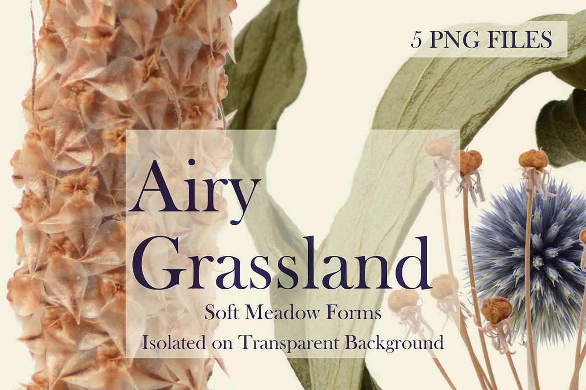 Airy Grassland — Soft Meadow Forms, an Object Graphic by Aga Silva (Photo 3 of 4)