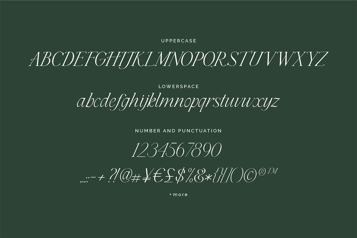 Cedar & Ink Typeface, a Serif Font by aquene (Photo 6 of 16)