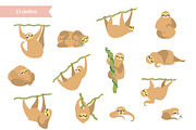 Happy Sloth - clipart collection, an Animal Illustration by Pikovit (Thumbnail 9 of 9)