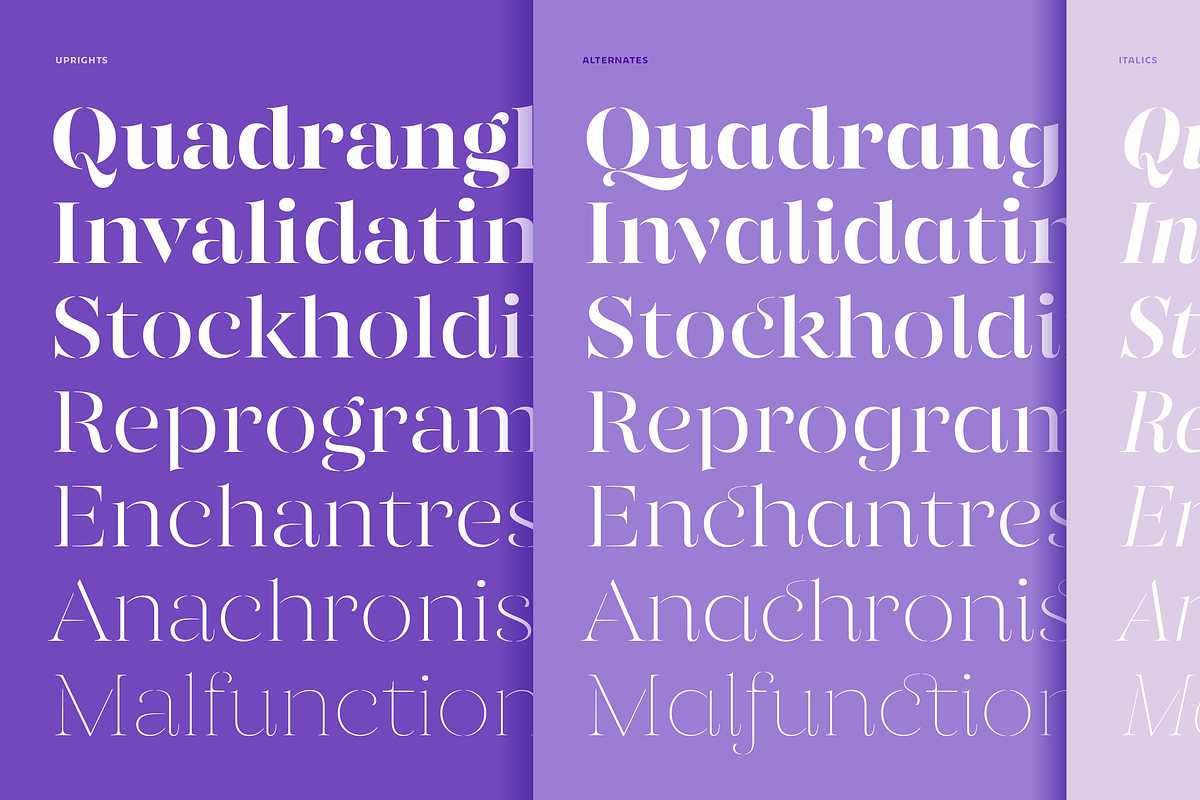 Gabriela Stencil, a Serif Font by Lechuga Type (Photo 4 of 15)