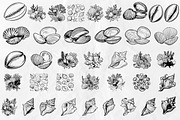 Seashell SVG Bundle, an Object Graphic by Dervik Art Store (Thumbnail 2 of 5)