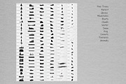Procreate Landscape Stamp Brushes, a Brush Add-On by MISTstudioDesign (Thumbnail 2 of 11)