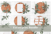 Eucalyptus Stock Photography Bundle, a Print Template by Smitten Photo & Design (Thumbnail 1 of 8)
