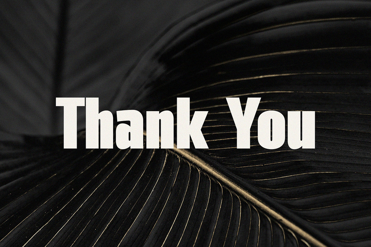 Mailgold - A Bold Sans Serif, a Sans Serif Font by TypeLogue (Photo 5 of 5)