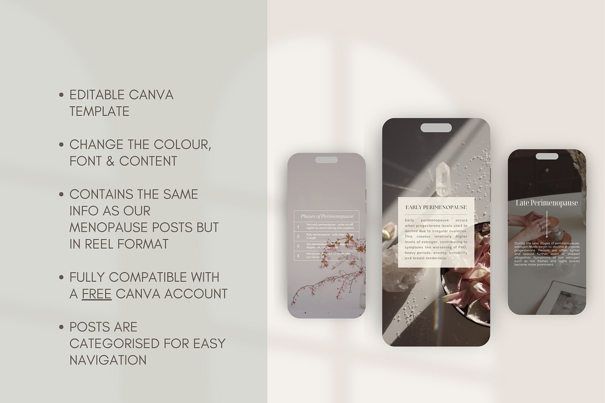 Menopause Instagram Reels Canva preview 3