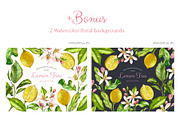 Lemon Garden Watercolor Fruits Set, a Food Illustration by Akvarelldesign (Thumbnail 3 of 4)