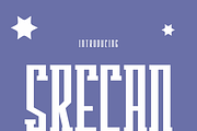 Srecan, a Serif Font by lelevien (Thumbnail 3 of 6)