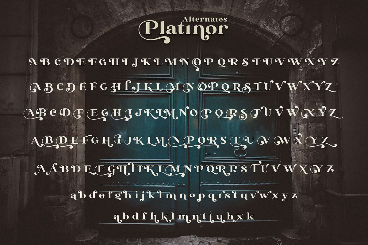 Platinor, a Serif Font by Larin Type Co. (Photo 13 of 13)