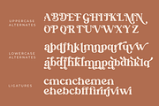 Millaris, a Serif Font by zeenesia (Thumbnail 12 of 12)