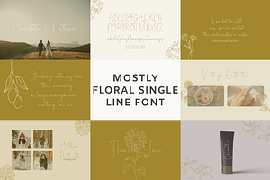 Single Line Font Bundle Vol. 1